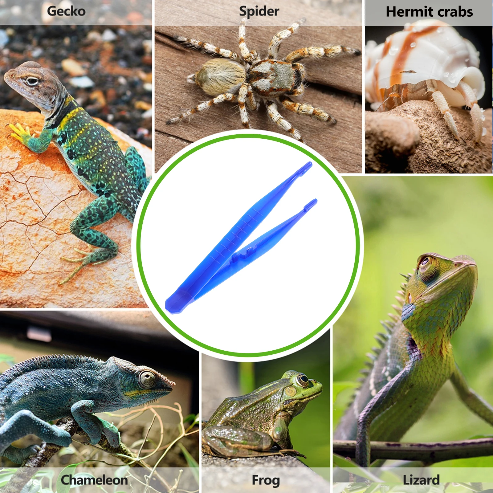 

6pcs Plastic Reptiles Feeding Tweezer Scorpion Lizard Food Tool Reliable Clip For Snake Spider Terrapin Feeding Reptiles