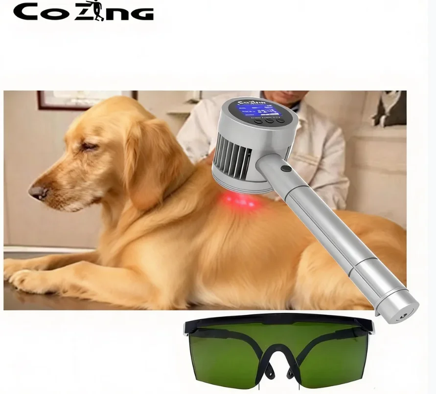 

Лазерная терапия 808 нм 650 нм Профессиональные физиотерапевтические медицинские устройства для дома, обучающее лечение ранов и любителей