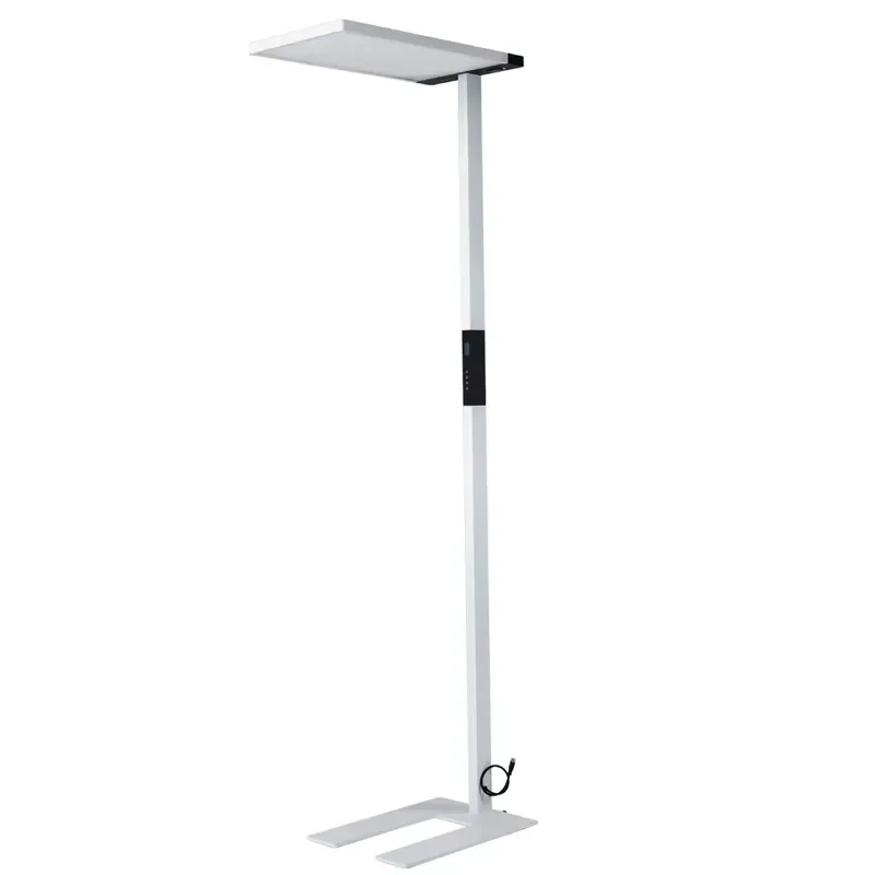 Contemporary Floor Lamp Unique Design Smart Edition E296 LED Ground Light with LCD Microwave Sensor