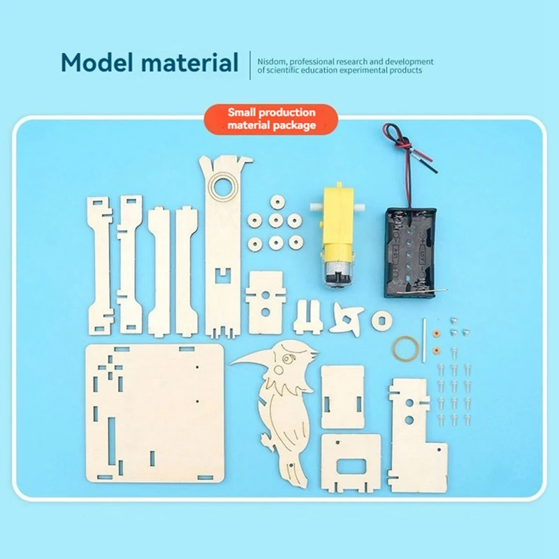 DIY Woodpecker Assemble Model Science Experimental Tool Kit STEM Kit For Learning Wooden Puzzle