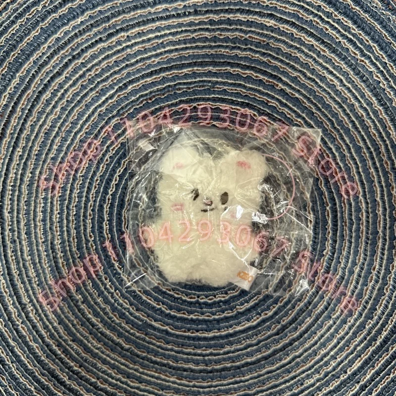 FM Field Week SKZOO Stray Kids Anhänger Mini Plüschschlüssel Rucksack Anhänger Geburtstagsüberraschung für Kinder Paare Ein Muss für Fans