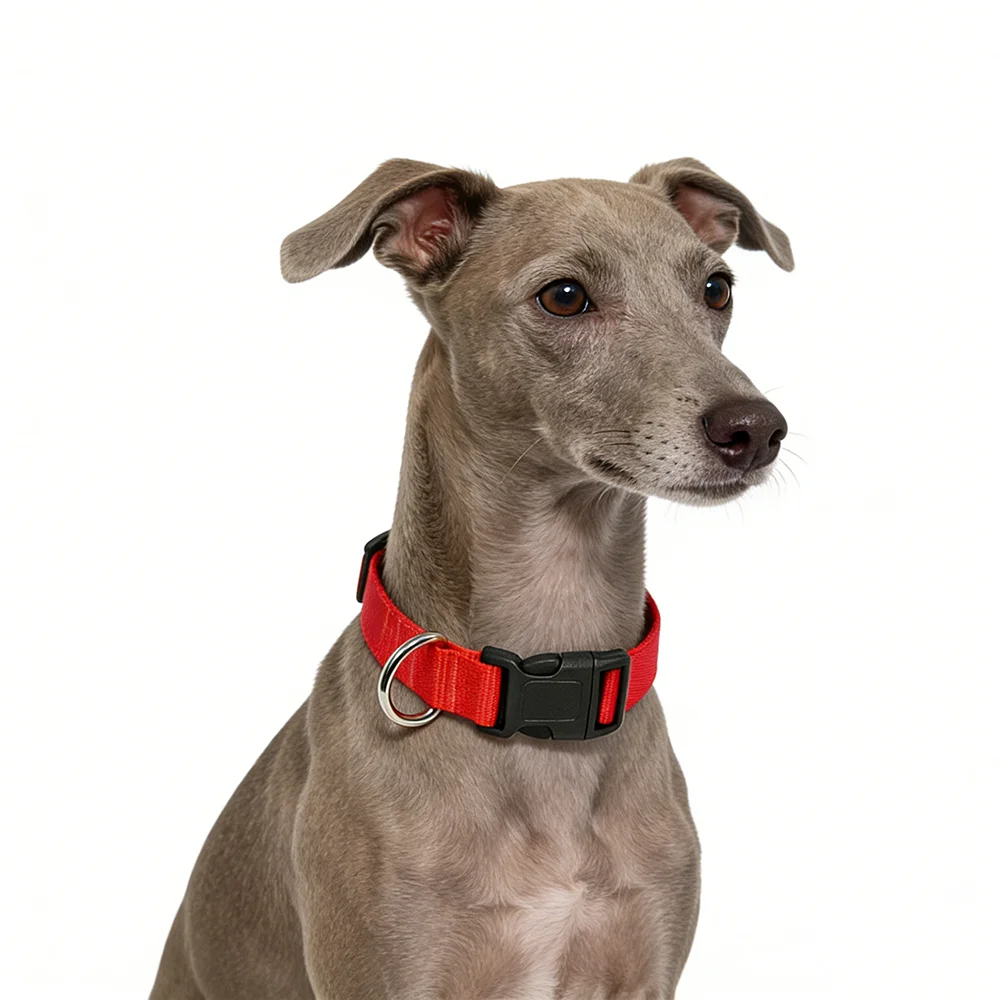 

Durable Basic Dog Collar Strap With Adjustable Safety Nylon Pet Collar Pet Traction Rope Suitable For Small And Medium Pets