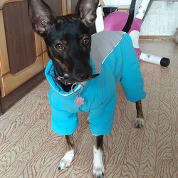 Warm Thicken Male Female Dog Jumpsuit for Small Dogs Winter Pet Donw Jacket Yorkshire Pug Bichon Overalls Puppy mascotas Clothes