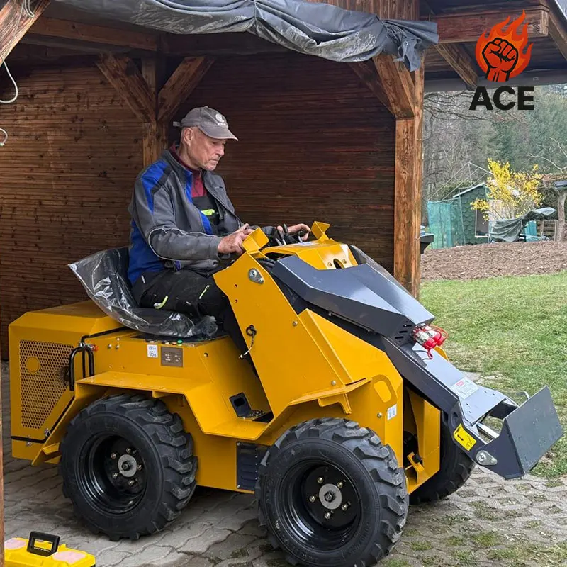 

Cheap Mini Skid Steer Loader CE/EURO5/EPA customized Earthwork Garden Farm diesel Engine Small 4WD Loader with kubota engine