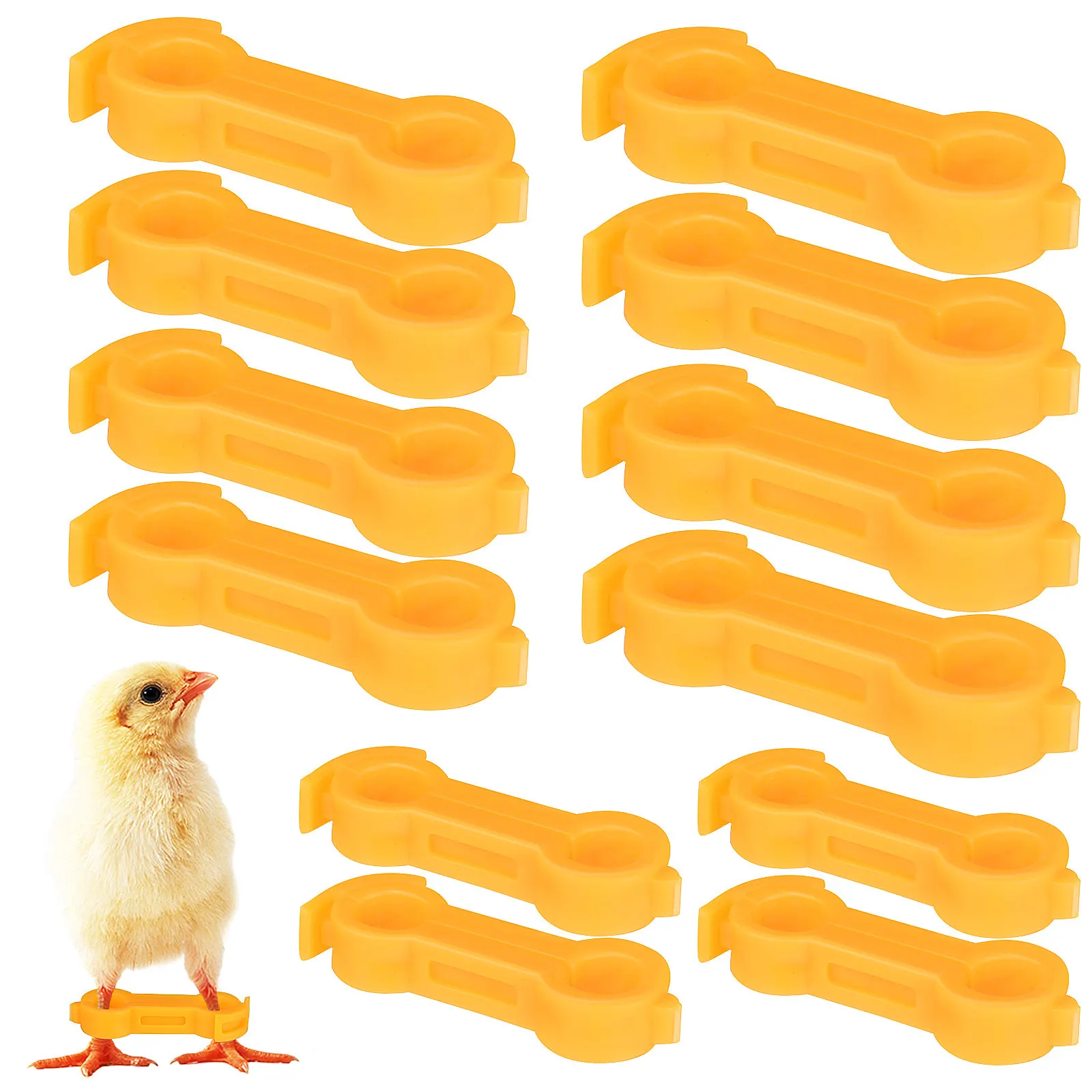 12Pcs Baby Chick Splay Leg Hobble Brace Gentle Leg Band for Newborn Chicken Pigeon Parrot Stabilization Correction Aid Tool