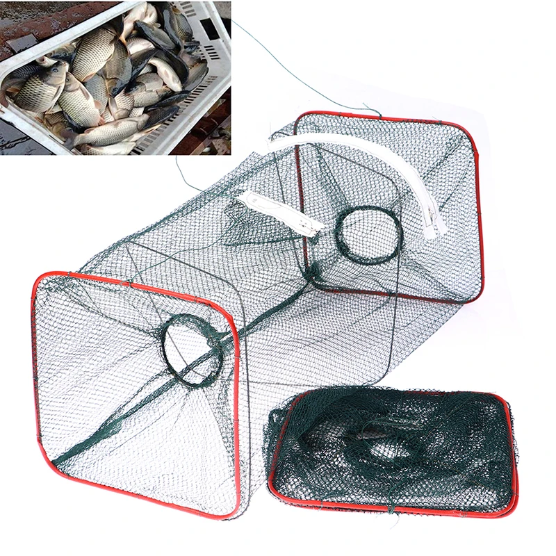 Thumbnail 2 - #6 Compare Fishing Traps Before You Buy