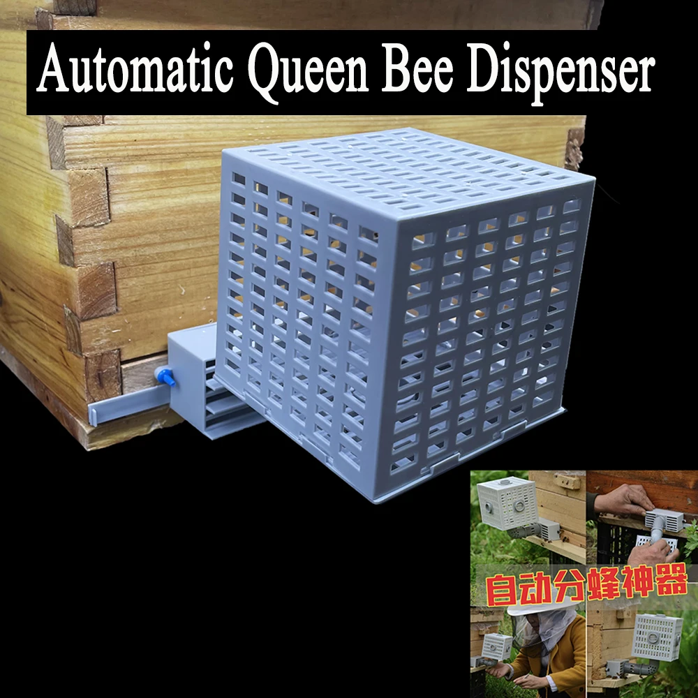 

1PCS New Design Automatic Bee Divider Unattended Drone Removal Plastic Single Way Beekeeping Tools Large Space Box Supplies
