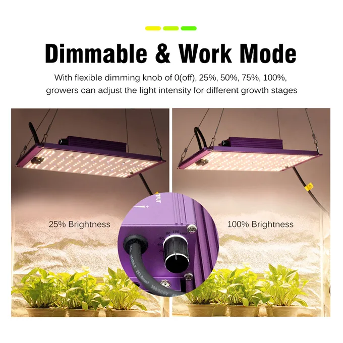 Full Spectrum 1200W LM281B Dimmable Quantum LED Plant Grow Lights With 3000K 5000K IR For Indoor Plant Greenhouse Grow Tent