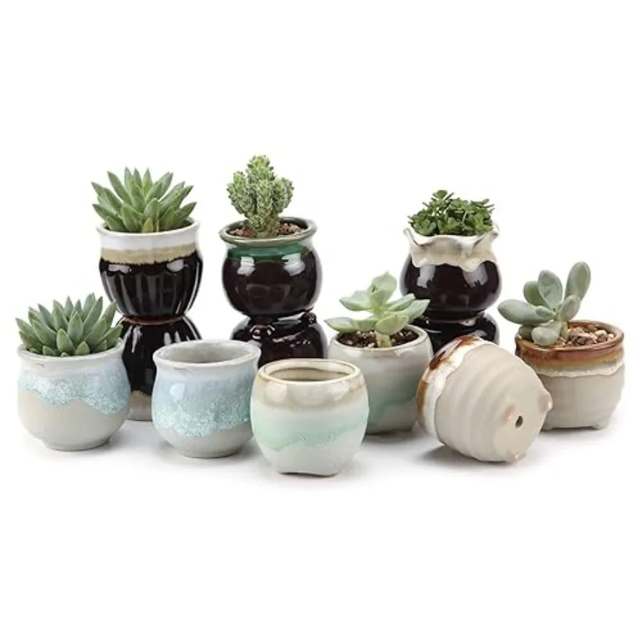 

Small Ceramic Succulent Pots with Drainage Set of 12 Mini Pots for Plants Home and Office Dr Plant Lover Gifts for Women