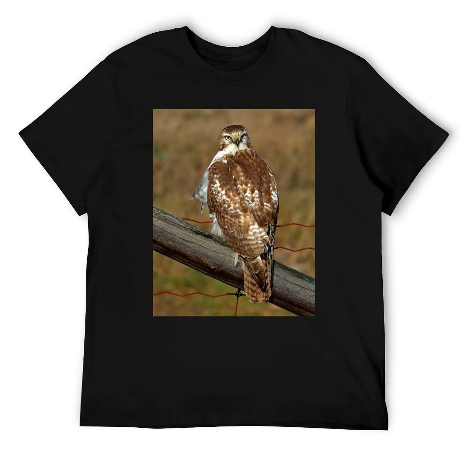 

Red-tailed Hawk on fence T-Shirt t shirt man casual t shirt custom print T-Shirt