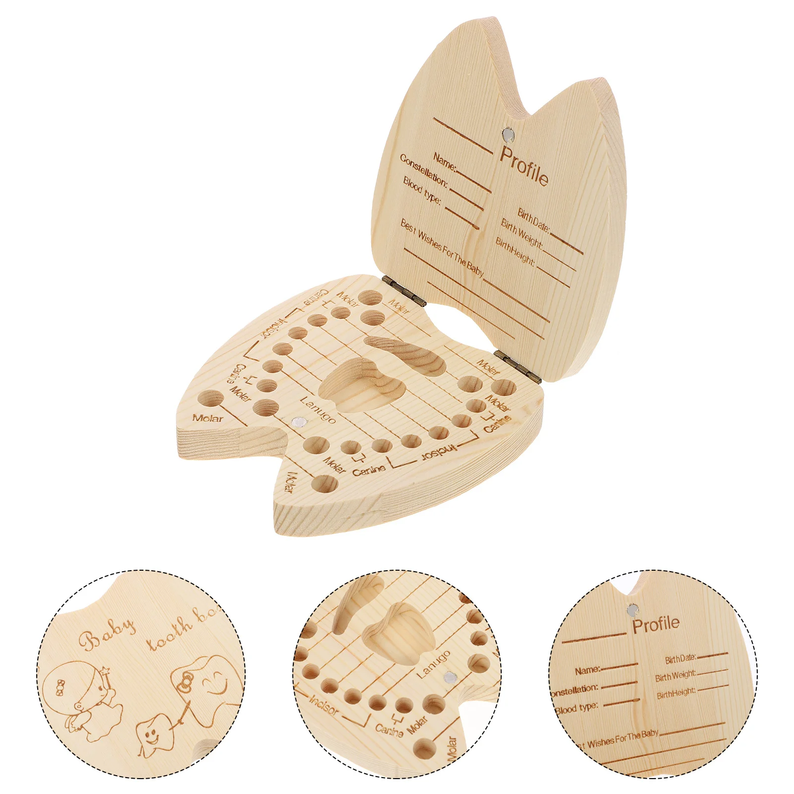 

Baby Tooth Box Keepsake Storage for Deciduous Teeth and Fetal Hair with Labeled Compartments Ideal for Tooth Fairy Tradition