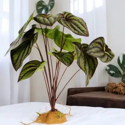 نباتات زخرفية لزواحف تررم حوض السمك الاصطناعي نبات المناظر الطبيعية نبات صناعي ديكور لوازم الزواحف صندوق سحلية