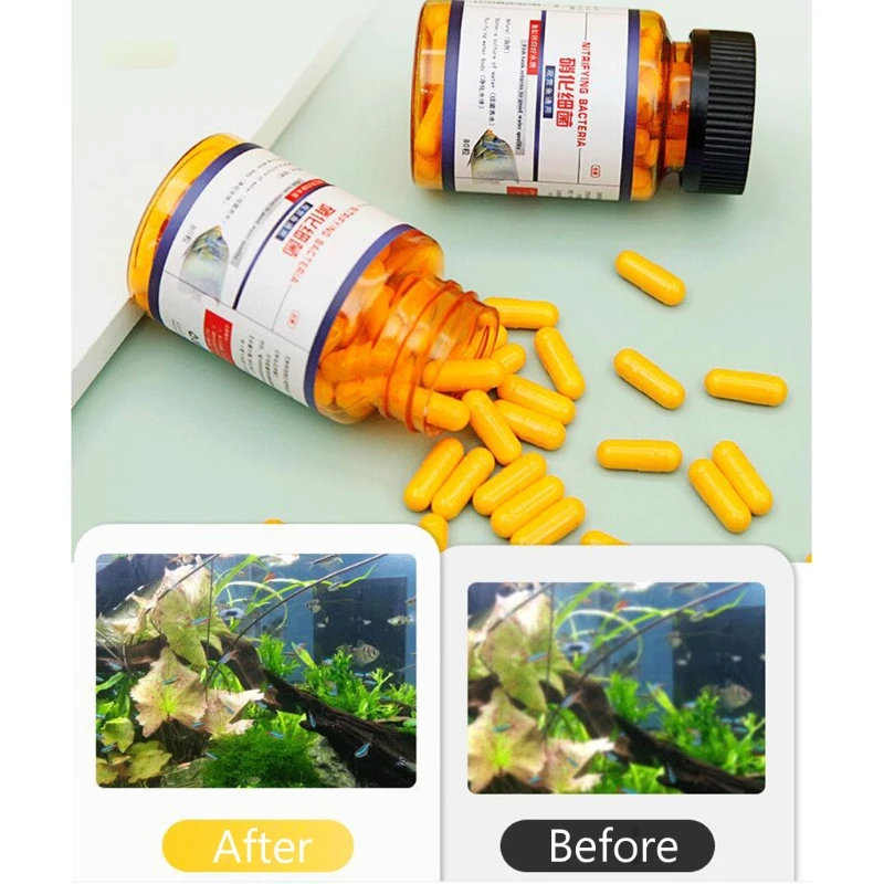 Nitrifying High Activity Biological Purification Safe No Harm to Fish