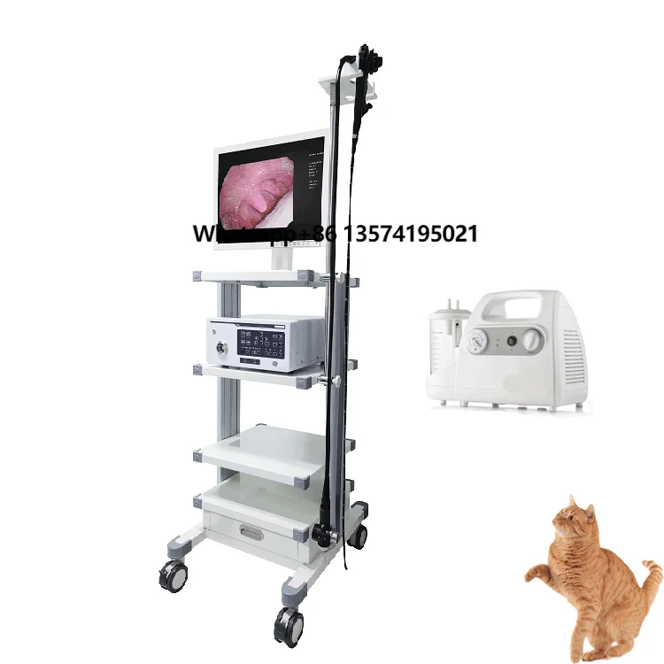 

MT MEDICAL Veterinary Percutaneous Endoscopic Gastrostomy Kits/Medical ENT/Laryngoscope/Nasopharyngoscope