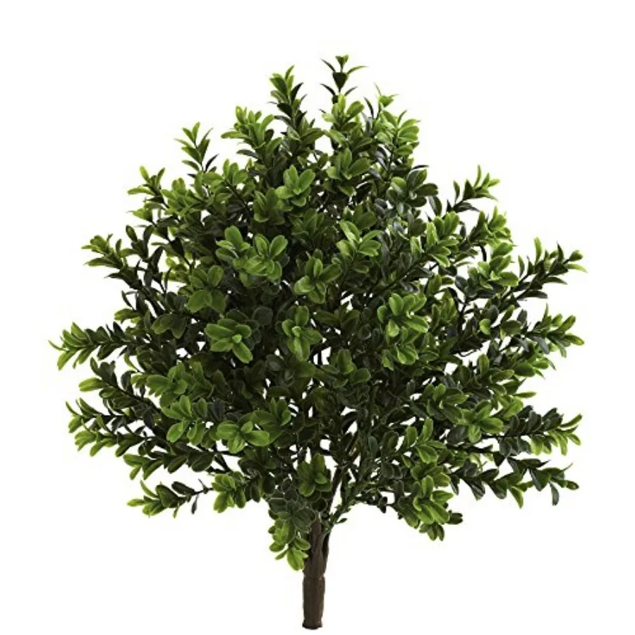 

6113-S6 Sweet Grass Bush Set of 6 (Indoor/Outdoor), 6 Piece, Green