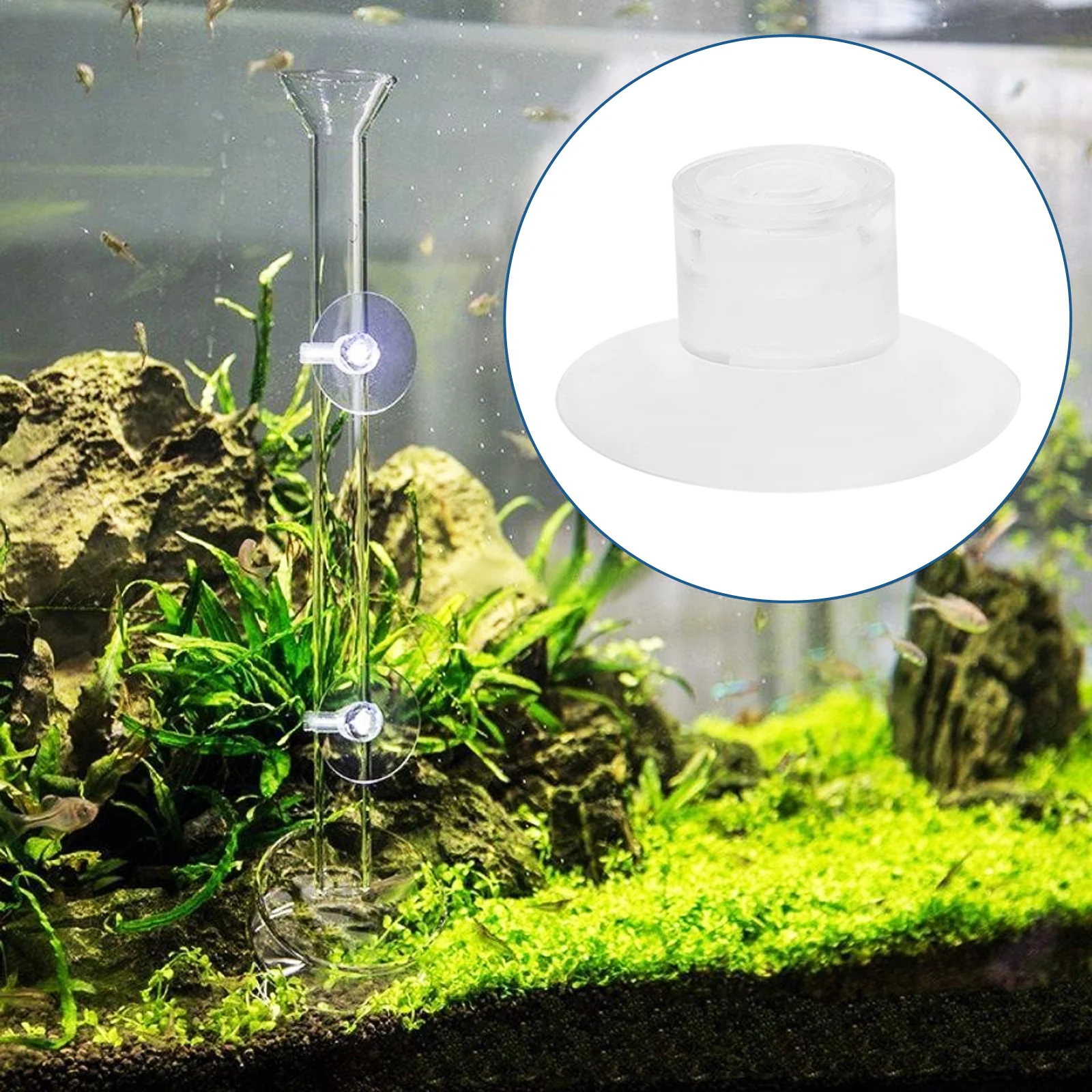 

50Pcs Aquarium Feeder Suction Cups Plastic Clear Fish Tank Feeder Sucker Accessories Fish Bowl Suction Cups Aquarium Sucker