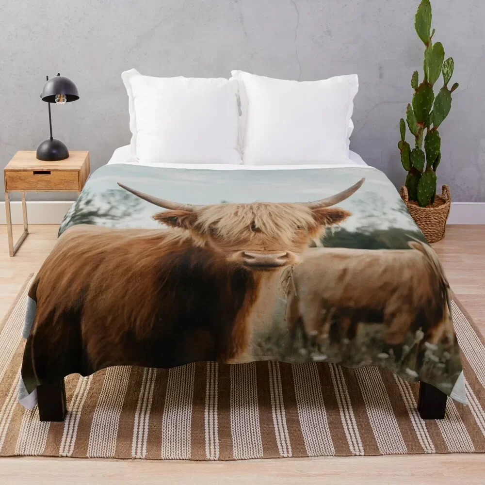

The Curious Cow No 2 Throw Blanket Warm Comfortable Blanket for Office Napping
