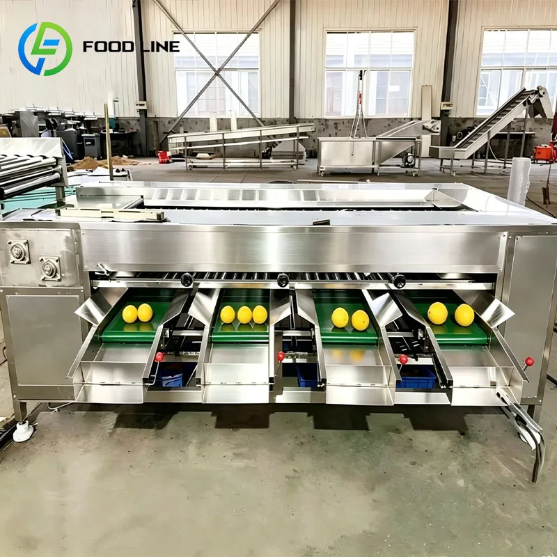 Vegetable Grading Machine Fruit Sorter Produce Grading Machine for Potato Onion Carrot Tomato Customized
