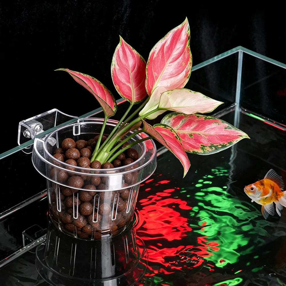 3Pcs Clear Hanging Aquarium Plant Holders Basket For Fish Tank And Aquaponics Planter- Cups For Aquascape Decoration