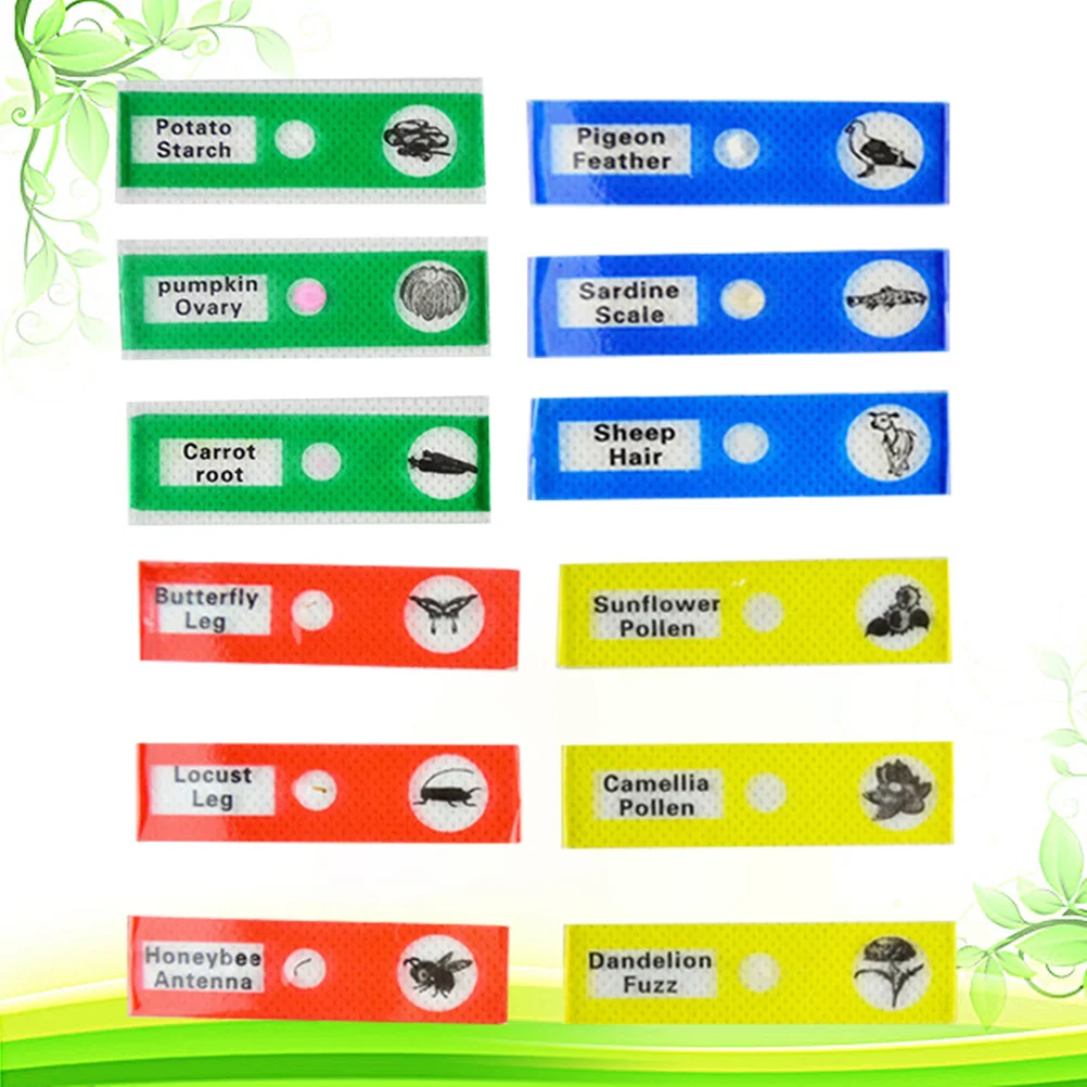 12 قطعة من شرائح العينات البيولوجية البلاستيكية للأطفال، مختبر المجهر، ألوان متنوعة، هدايا تعليمية أساسية #6