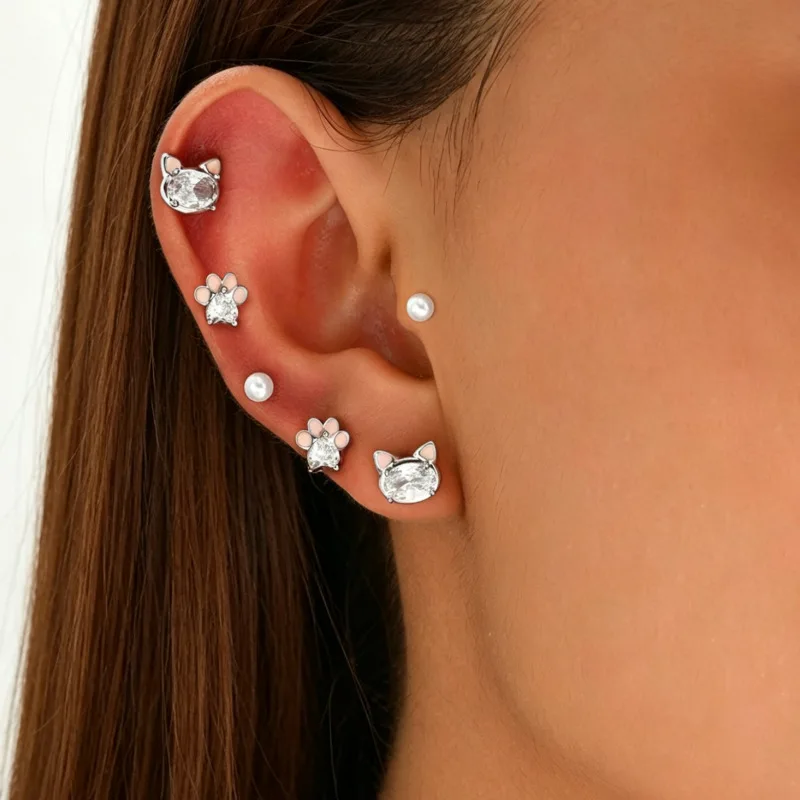 Inlaid zircon earrings set light luxury super flash cat niche design stud earrings versatile earrings
