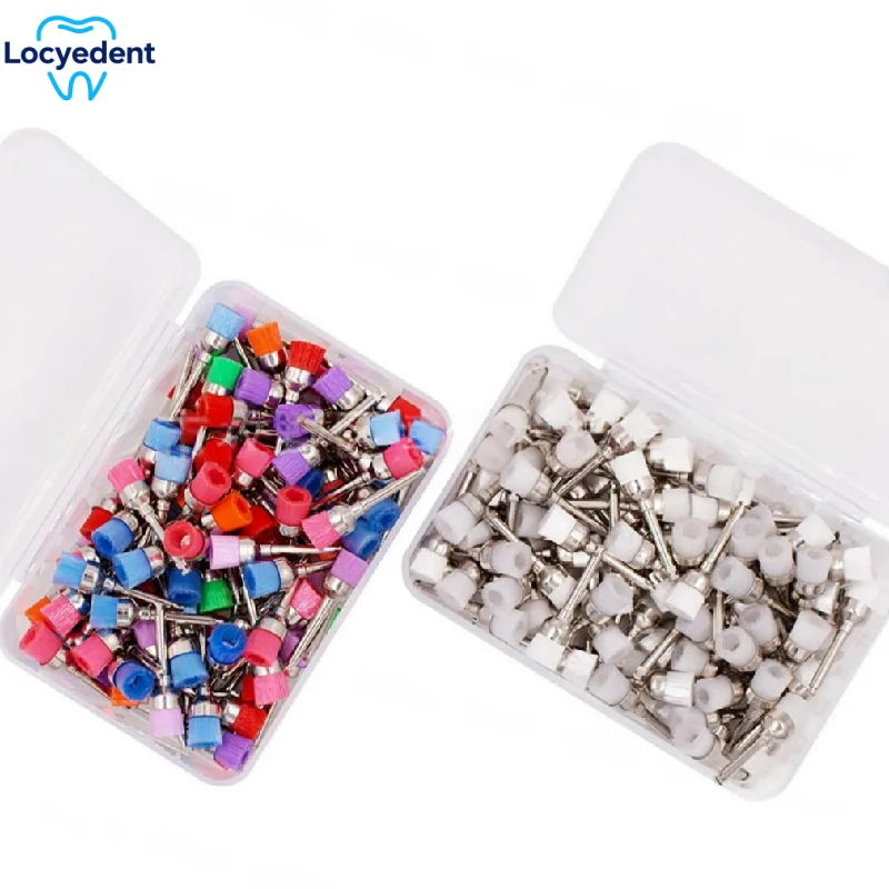 

Dental Nylon Polishing Brush Bowl Shape Prophy Brush For Contra-Angle Handpiece