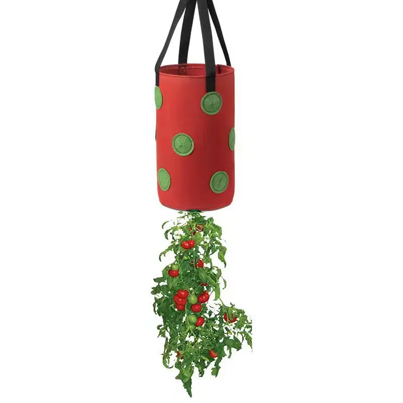 Thumbnail 4 - #11 Best Plant Pots to Buy In 2026