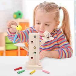 Juguetes Montessori de madera para niños, juego educativo de aprendizaje, pesca, pájaro carpintero, atrapar gusanos, Motor fino, entrenamiento de habilidades de mano