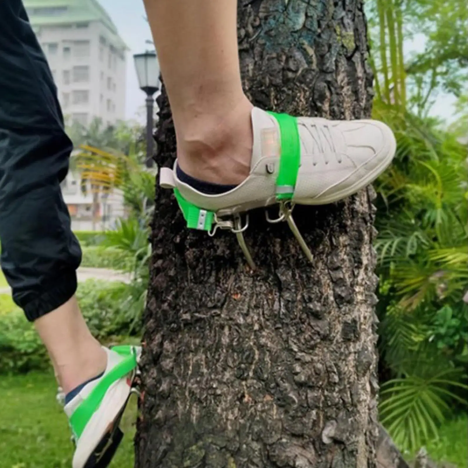 

Шипы для восхождения по деревьям Шипы для восхождения по деревьям Оборудование для активного отдыха на свежем воздухе с регулируемым ремешком для сбора фруктов