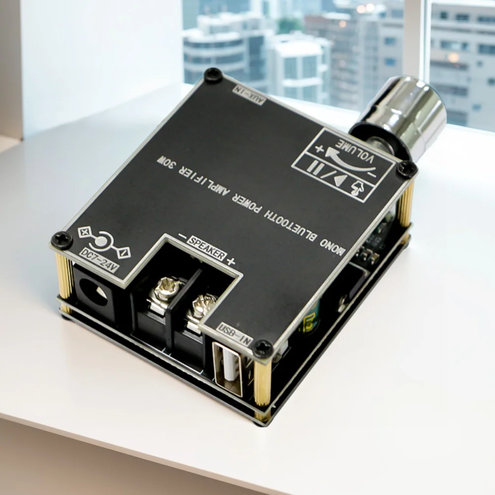 ZK-301B Mono 30W Au…