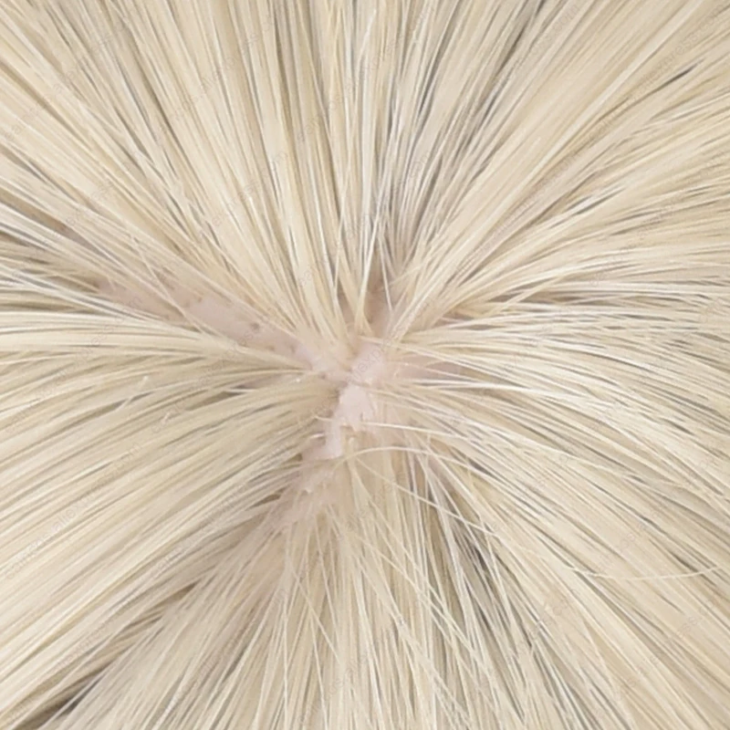 Parrucca Cosplay Falin Touden 35cm parrucche corte in oro grigio parrucche sintetiche resistenti al calore per giochi di ruolo