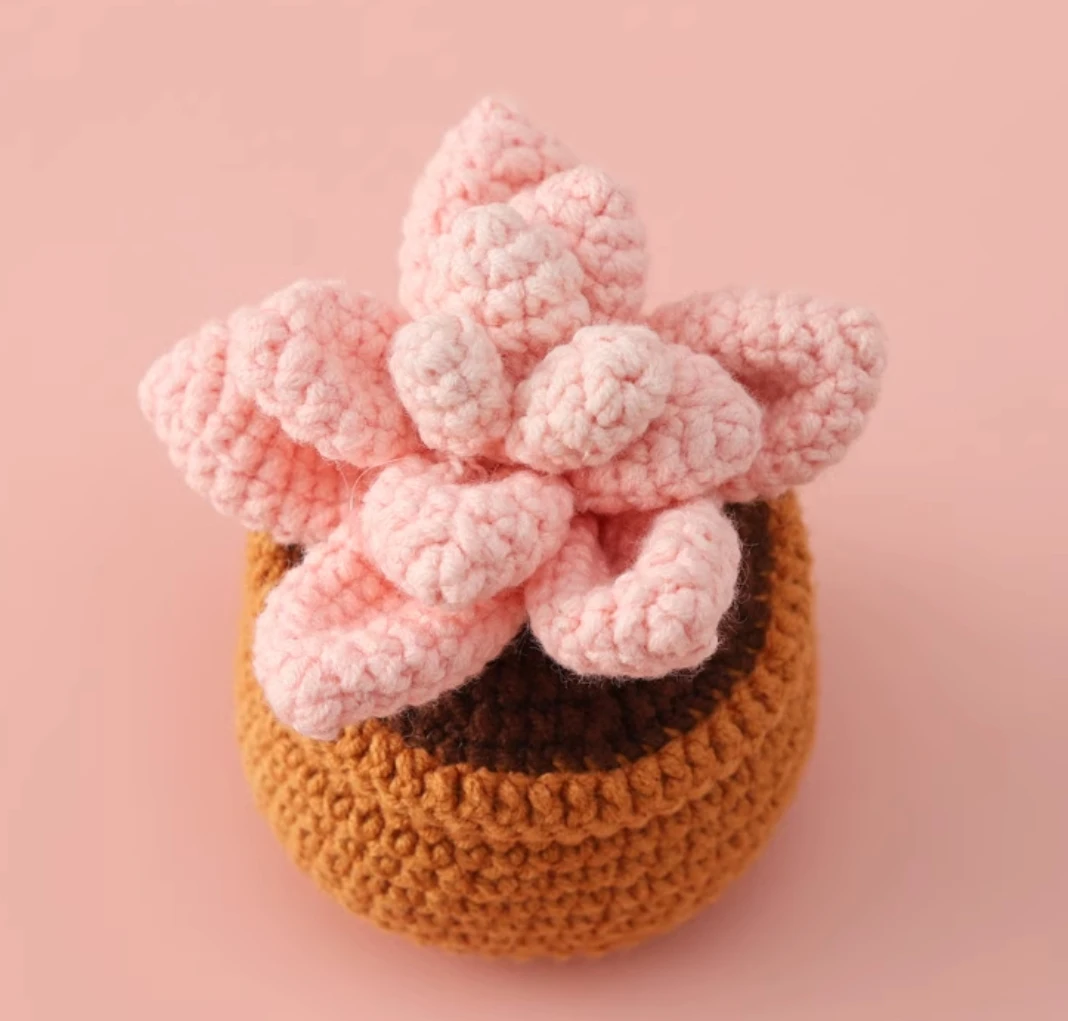 

DIY crocheted succulent potted plants hand-knitted material package wool crochet simulated plant desktop ornaments gift for wome