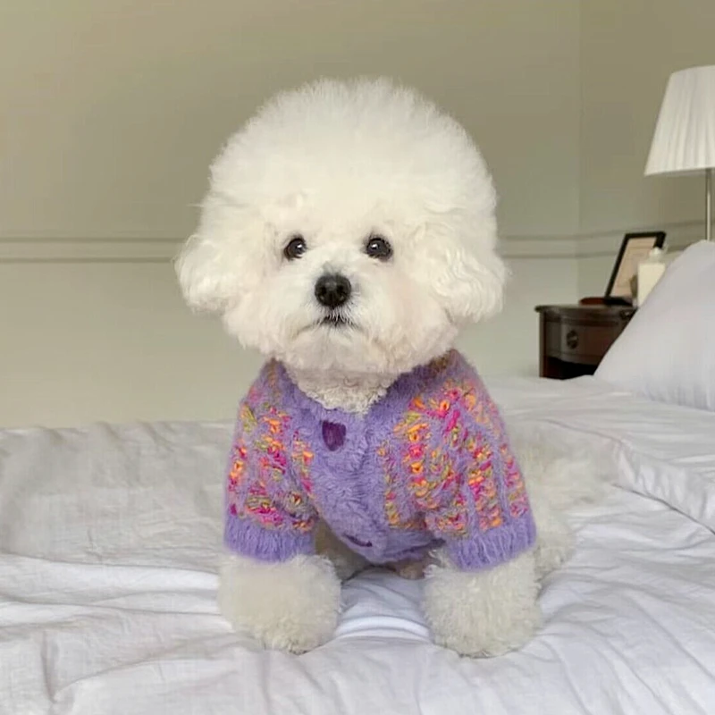 High Quality Pet Sweater Winter Teddy Knit Warm Pullover Compared than Bear Solid Color Dog Clothes Dog Casual Button Up Shirt