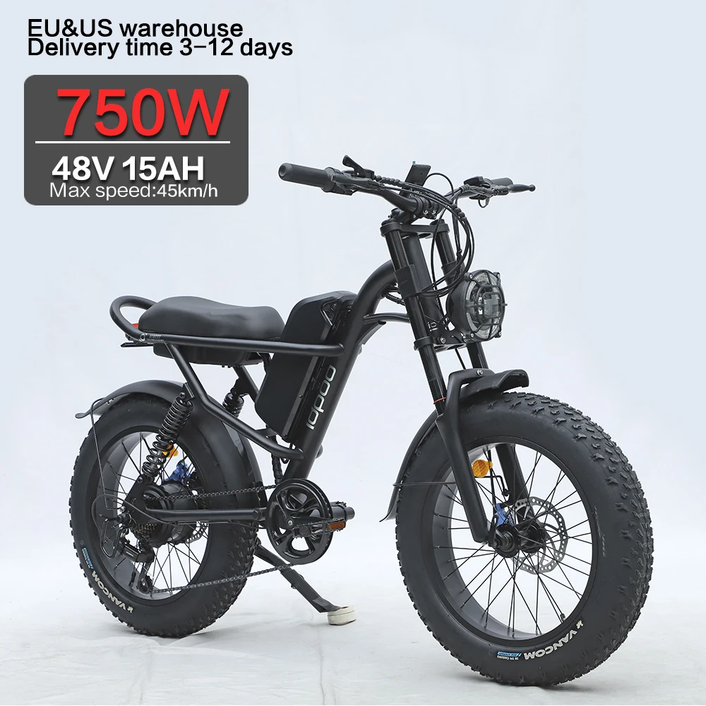 Adults Electric Bike Electric City Bike Long Range Fast Long Seat 750w 48v E-Bike 20 Inch Mountain Bicycle Snow Waterproof