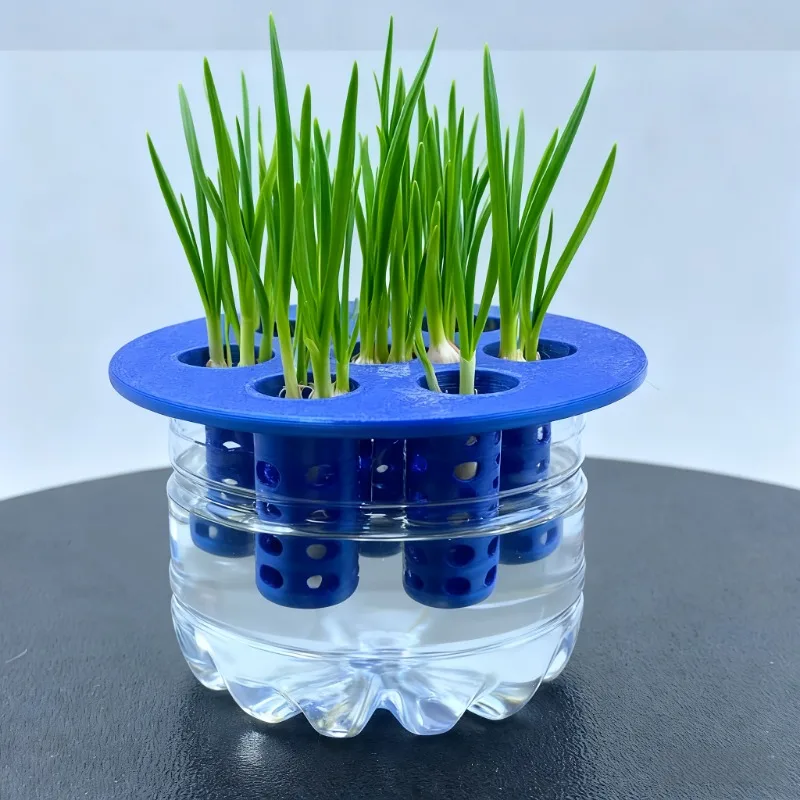 Indoor Soilless Grow Kit – Anti-Mold Garlic & Onion Planter, DIY Desk Garden Tool for 365 Days Worldwide Use