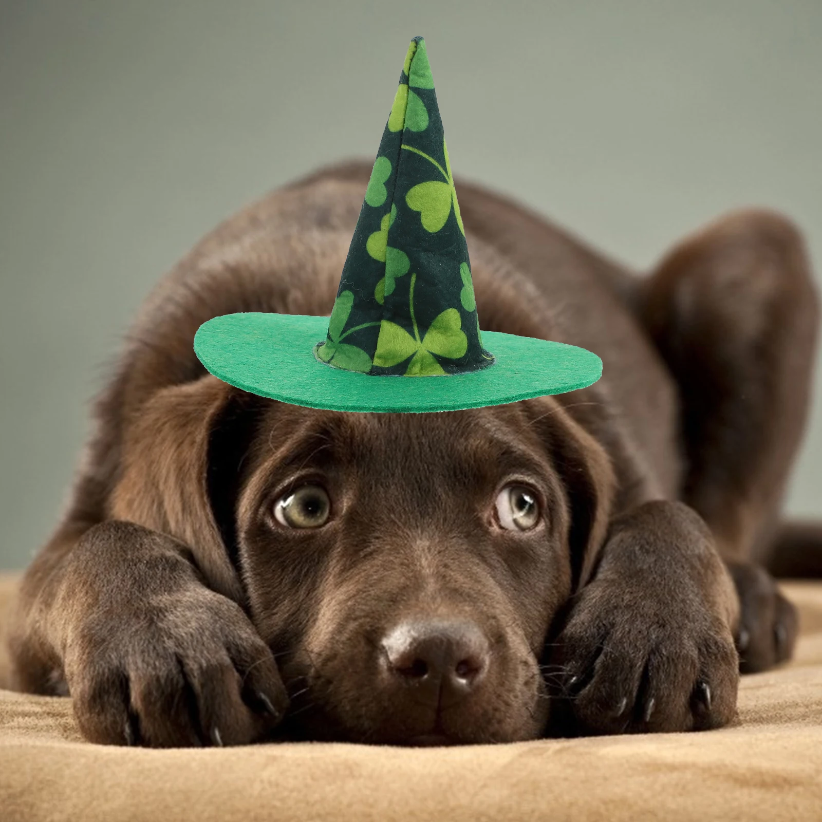 

Pet Hat Triangle Scarf Decorative Dog Accessories Green Cotton Polyester Multi-function Adjustable Pet Witch Hat Strap