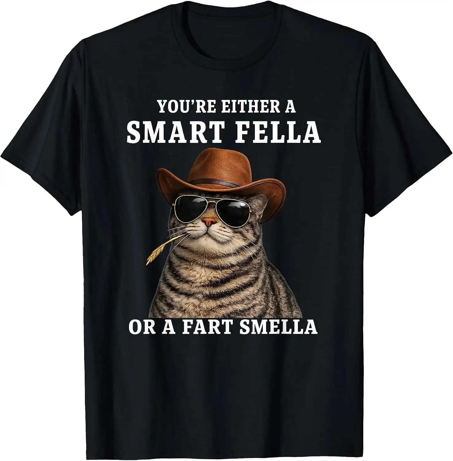 You're Either Smart Fella Or A Fart Smella Funny Meme T-Shirt Men Casual Graphic Print T-Shirt Crew Neck Short Sleeve Vintage Street Style Soft Fabric Daily Wear Tops. Holiday Festive, Party Wear, Theme Print Tee.