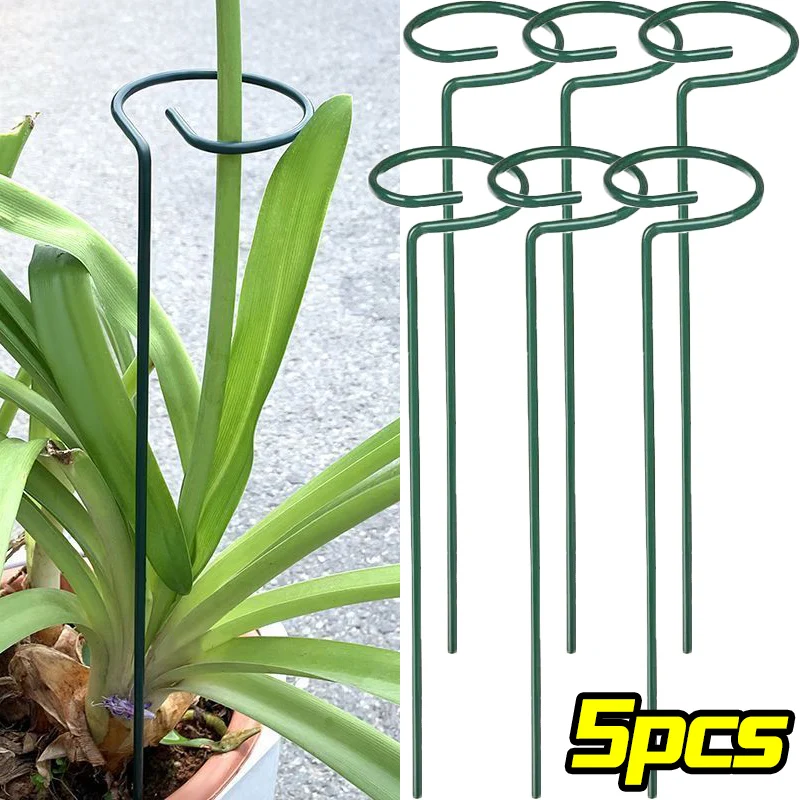 Anillo de estaca de soporte para jardín, soporte de arbustos para plantas de tallo único de Metal, rosas, flores, verduras, vid, herramientas de jardinería para el hogar, 1/10 Uds.