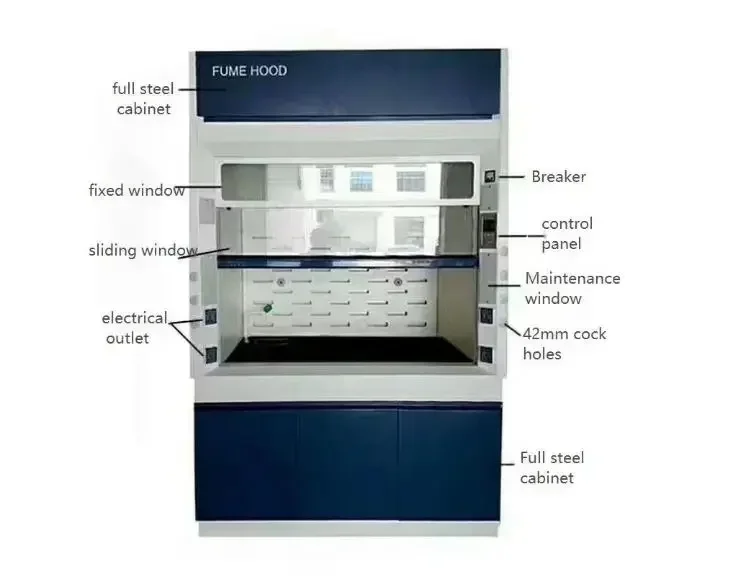 All Steel Gas Extractor Ductless Lab Fume Hood Medical OEM Firm Durable Laboratory Chemical Price For Scientific Lab