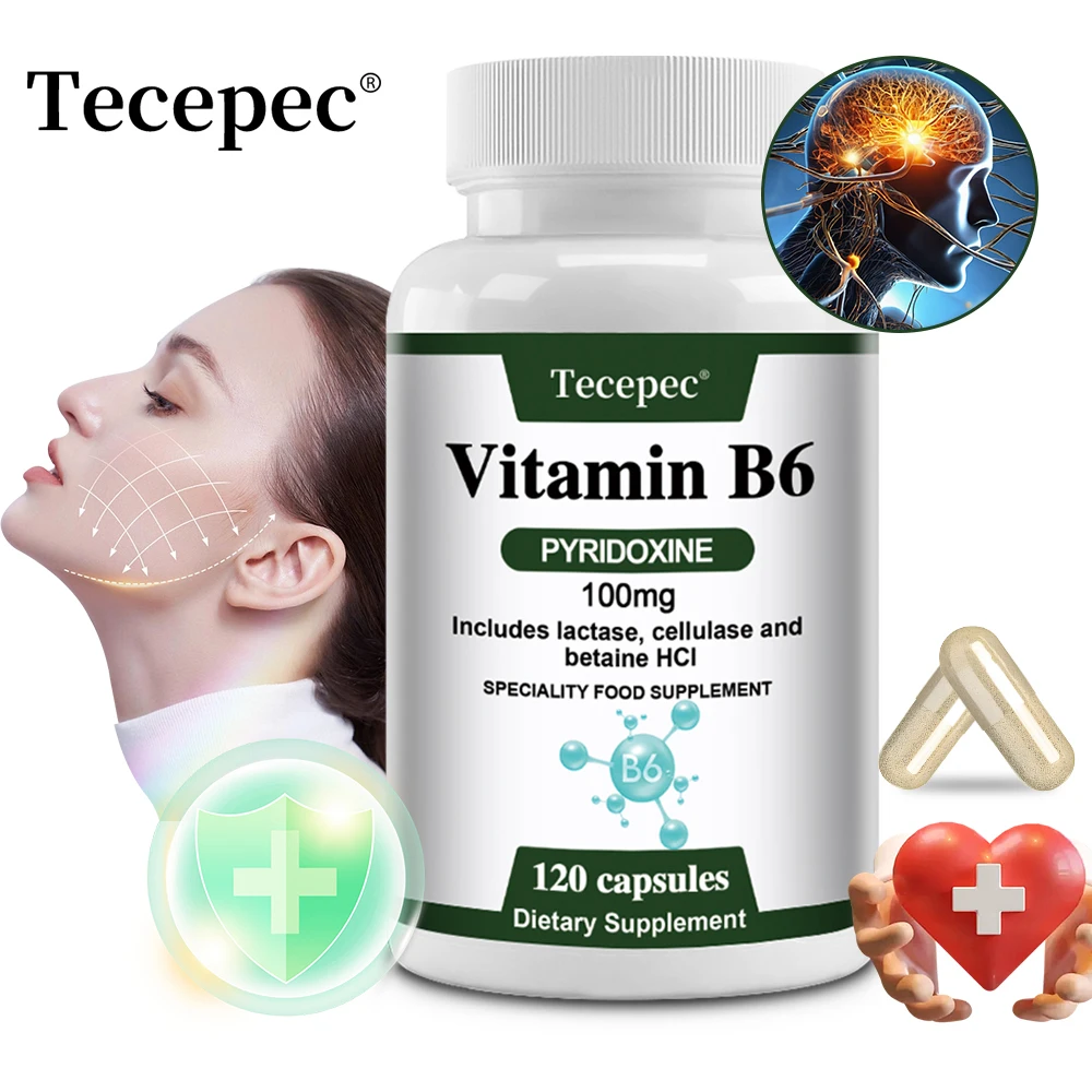 Vitamin B6, 100 Mg, with Lactase, Cellulase, and Betaine for Mental and Physical Energy, Brain Health, Heart Health, Vegetarian