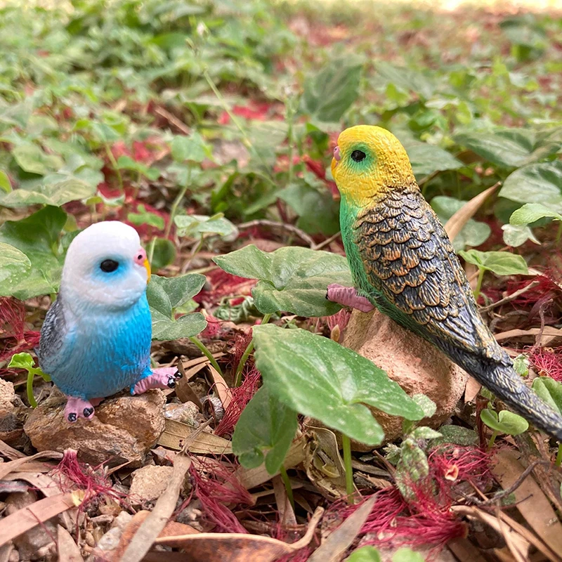 Nieuwe Simulatie Pauw Vogel Beeldjes PVC Actiefiguren Modellen Collectie Educatief Speelgoed Voor Kinderen Mini Landschap Ornament