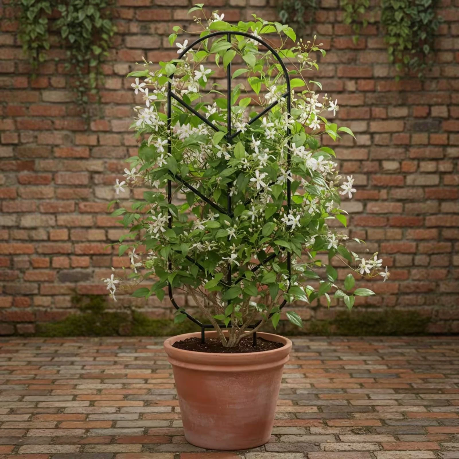 4 Pieces Metal Plant Trellis Vertical Trellis with Arched Top Climbing Frame Stable Space-Saving for Gardeners, Pots, Balcony