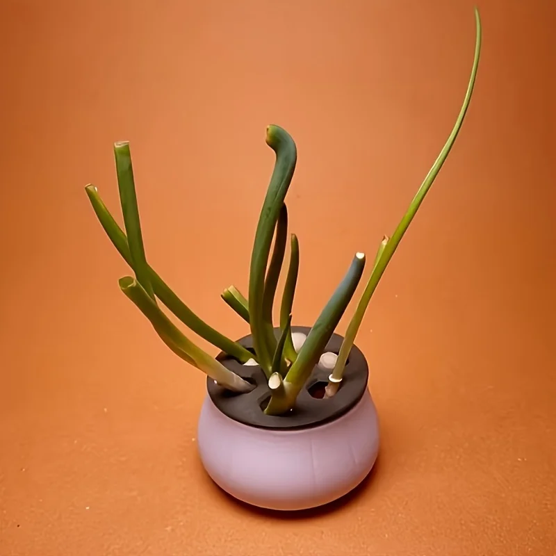 1pc 3D-printed Green Onion Regenerative Farm Seedling Tray, Suitable for Hydroponics - Indoor Kitchen - Home Gardening