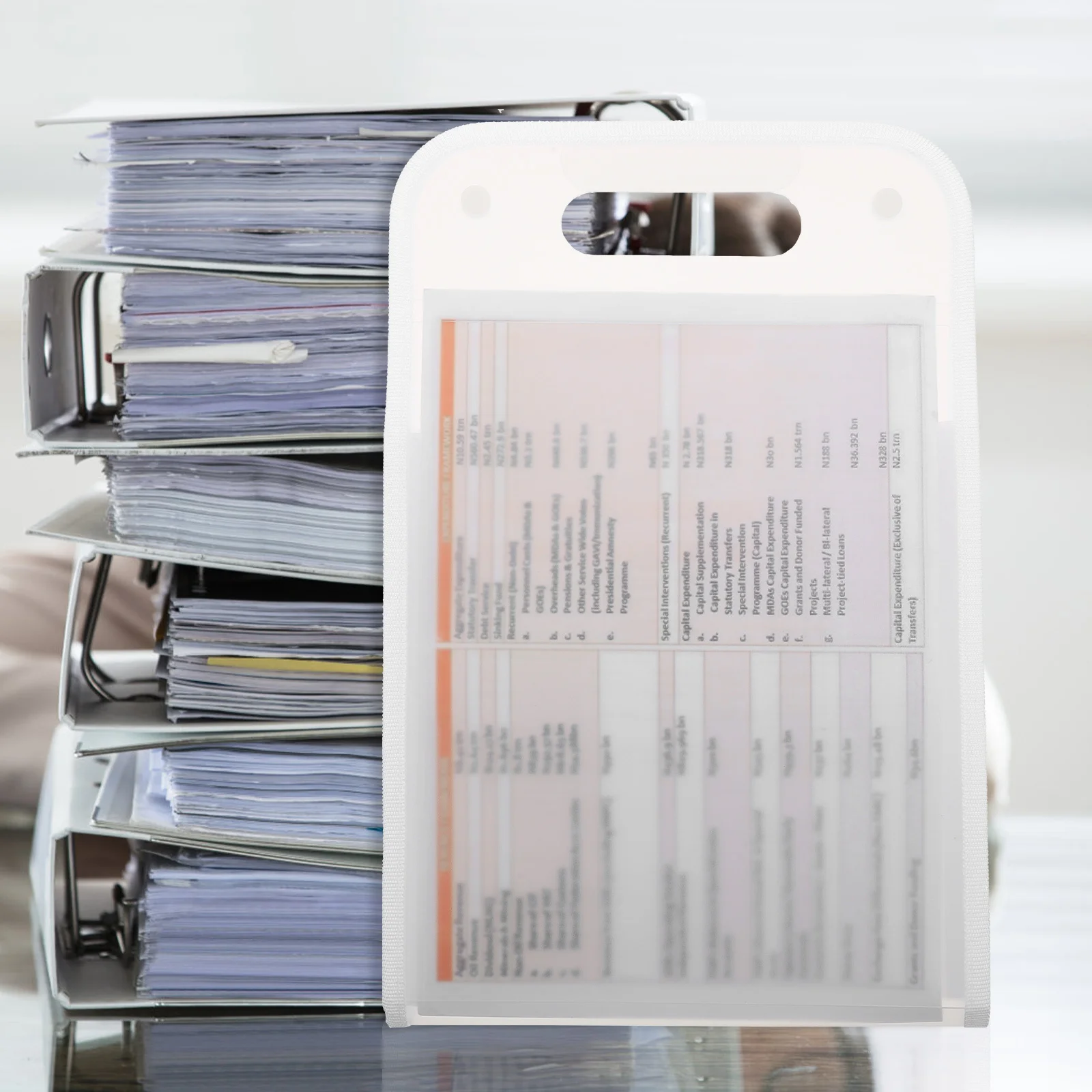 

Expandable File Folder Large Capacity Documents Organizer Receipts Bills Checks Portable Desktop File Holder Office School Home