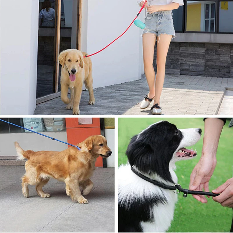 Dog Leash Slip Lead Nylon Adjustable Training Leashes High Quality Loop Collar for Small Medium Large Dogs Strap Rope DogHarness