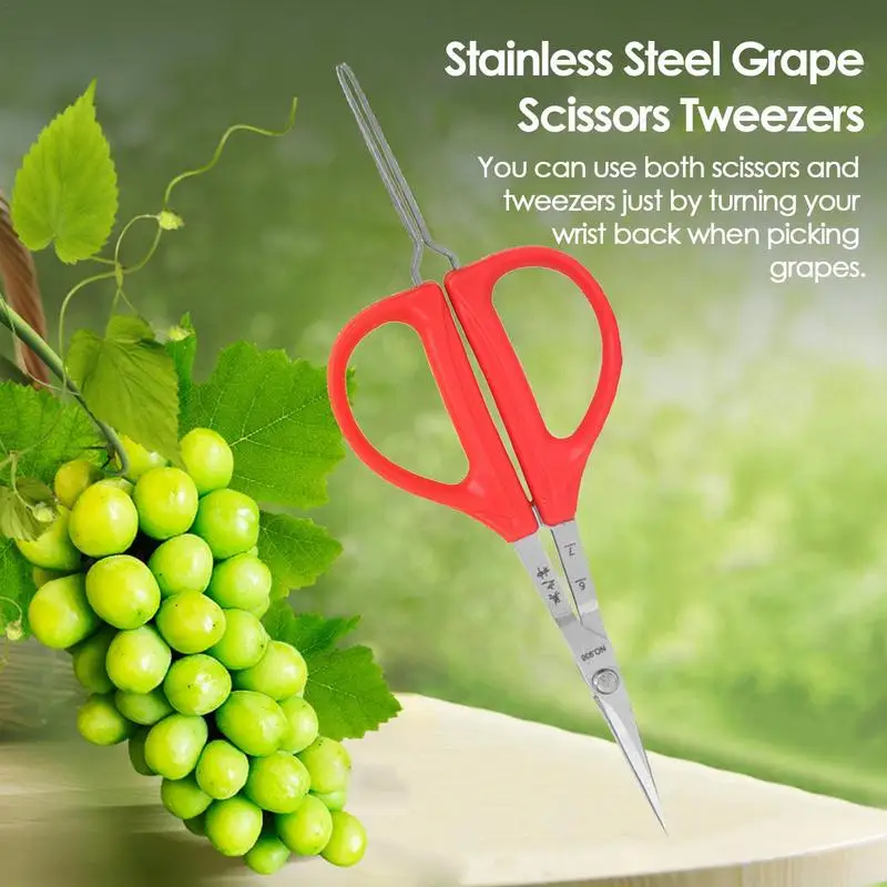 Multifunctional 2-in-1 Garden Grape Scissors Tweezers Garden Fruit And Grape Pruning Scissors With Ergonomic Handles