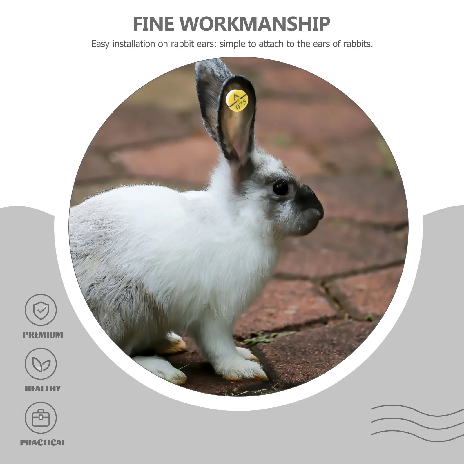 

50pcs Rabbit Ear Tags Durable Material Easy Installation Livestock Identification Plastic Animal Ears Pet Supplies