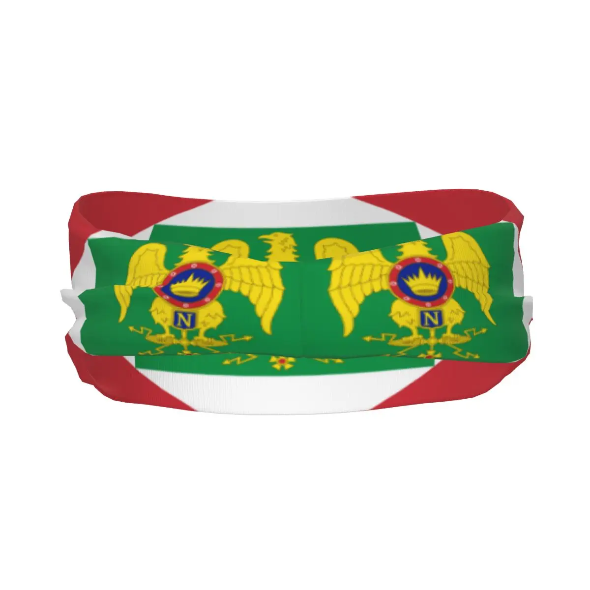 Flag Of The Napoleonic Kingdom Of Italy Elastic Hair Band Yoga Headband Makeup Hair Hoop Headwrap