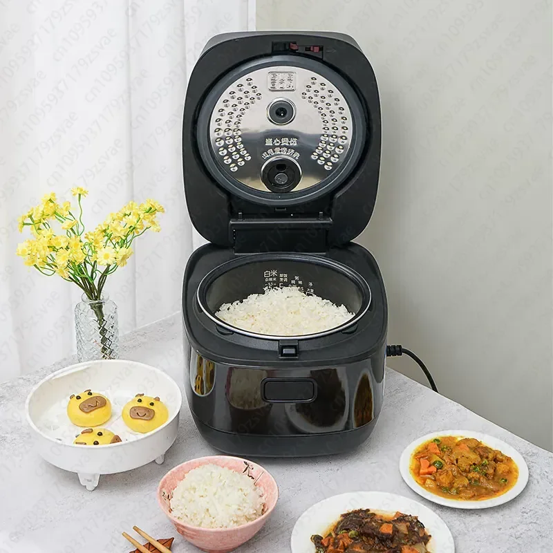 Rice Cooker JPR-B10C New Intelligent IH Soil Pot Coated Household Multifunctional Rice Cooker 3L