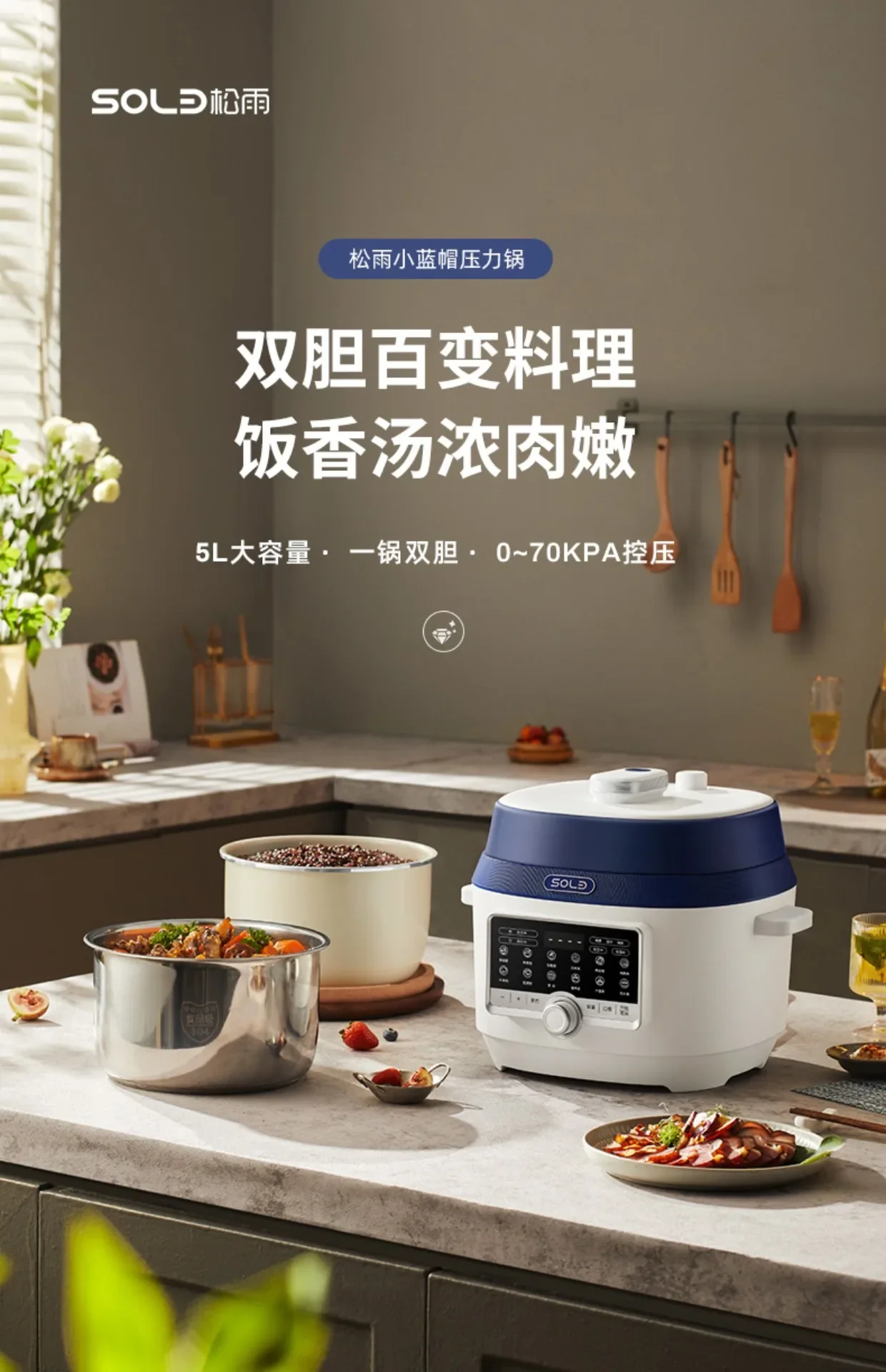 110V/220V Electric Pressure Cooker Smart Multi Functional Rice Cooker for Home Use USA Japan